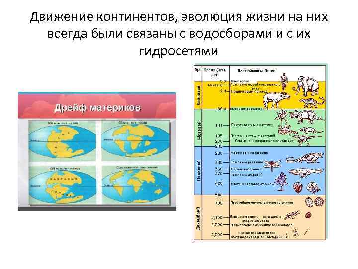 Движение континентов, эволюция жизни на них всегда были связаны с водосборами и с их