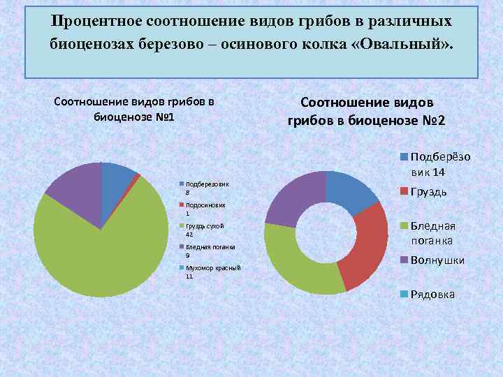 Виды соотношений