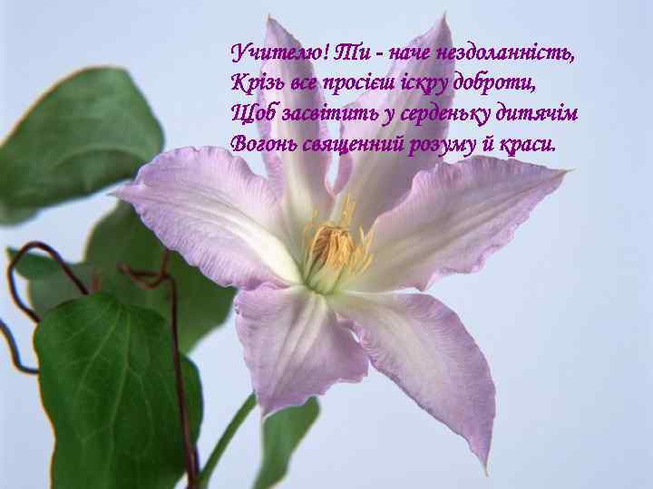 Учителю! Ти - наче нездоланність, Крізь все просієш іскру доброти, Щоб засвітить у серденьку