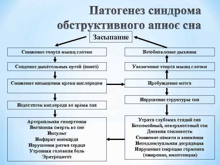 Засыпание Снижение тонуса мышц глотки Возобновление дыхания Спадение дыхательных путей (апноэ) Увеличение тонуса мышц