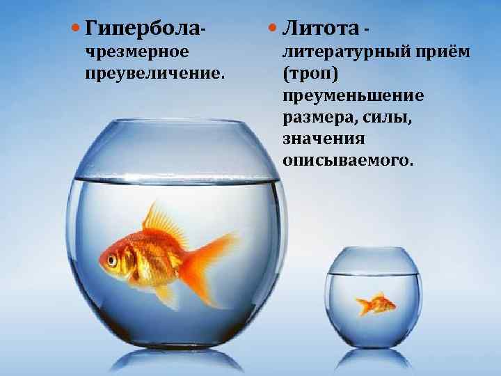  Гиперболачрезмерное преувеличение. Литота литературный приём (троп) преуменьшение размера, силы, значения описываемого. 