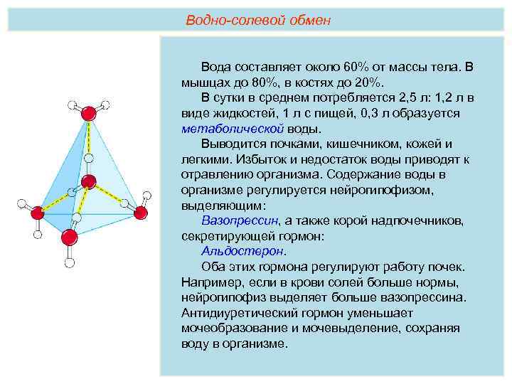 Солевой обмен организма. Водно солевой обмен. Гормоны регулирующие водно-солевой обмен. Характеристика гормонов регулирующих водно-солевой обмен. Водно солевой обмен кожи.