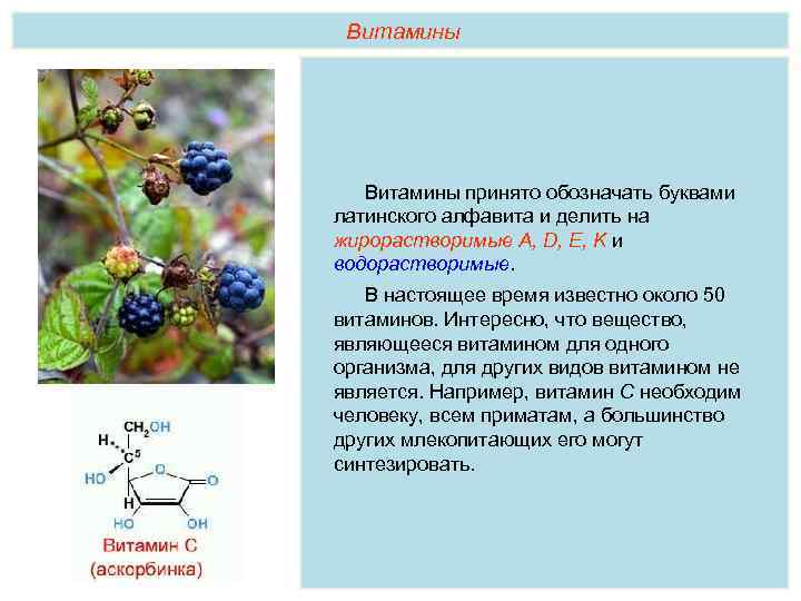 Витамины принято обозначать буквами латинского алфавита и делить на жирорастворимые А, D, E, K