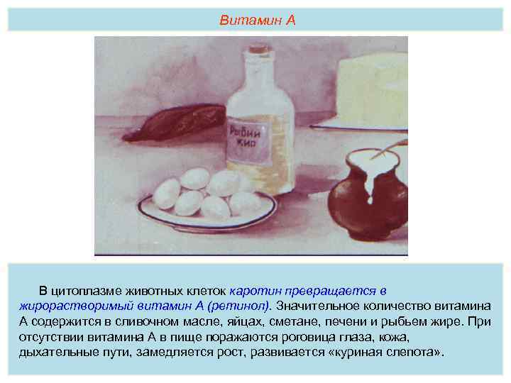 Витамин А В цитоплазме животных клеток каротин превращается в жирорастворимый витамин А (ретинол). Значительное