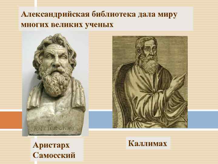 Александрийская библиотека дала миру многих великих ученых Аристарх Самосский Каллимах 