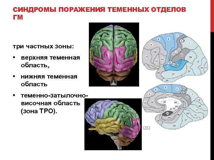 Схема нейропсихологического исследования