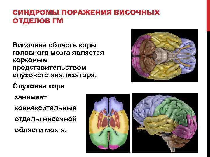 План текста мотивация подчинения достаточно сложна