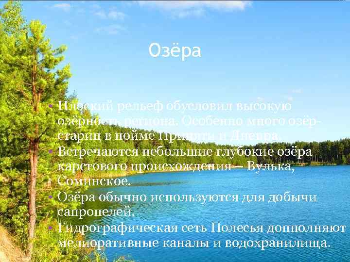 Озёра • Плоский рельеф обусловил высокую озёрность региона. Особенно много озёрстариц в пойме Припяти