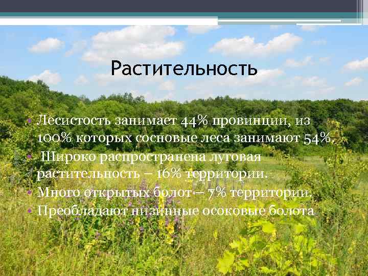 Растительность • Лесистость занимает 44% провинции, из 100% которых сосновые леса занимают 54%. •