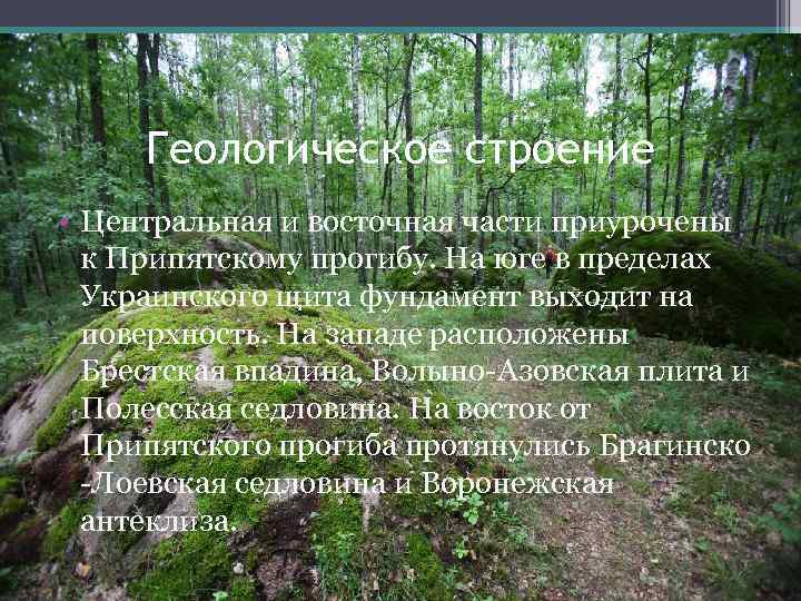 Геологическое строение • Центральная и восточная части приурочены к Припятскому прогибу. На юге в