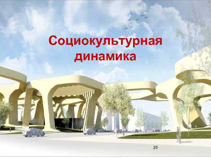 Социокультурная динамика 25 