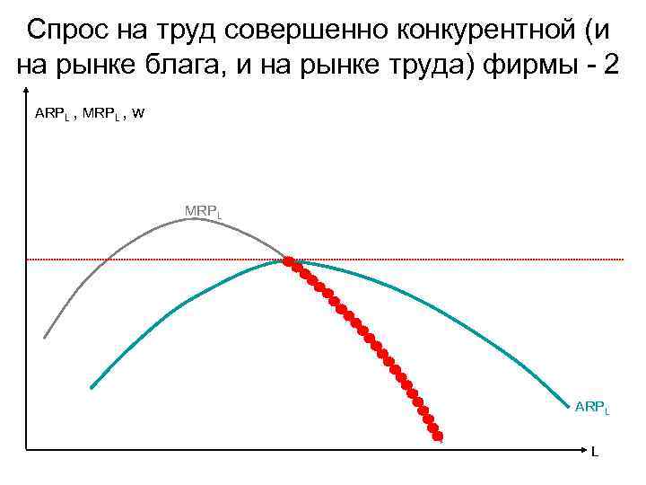 Спрос на труд совершенно конкурентной (и на рынке блага, и на рынке труда) фирмы