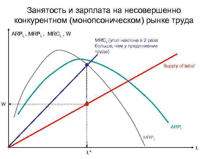 Занятость и зарплата на несовершенно конкурентном (монопсоническом) рынке труда ARPL , MRСL , W