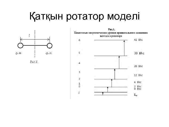 Қатқын ротатор моделі 