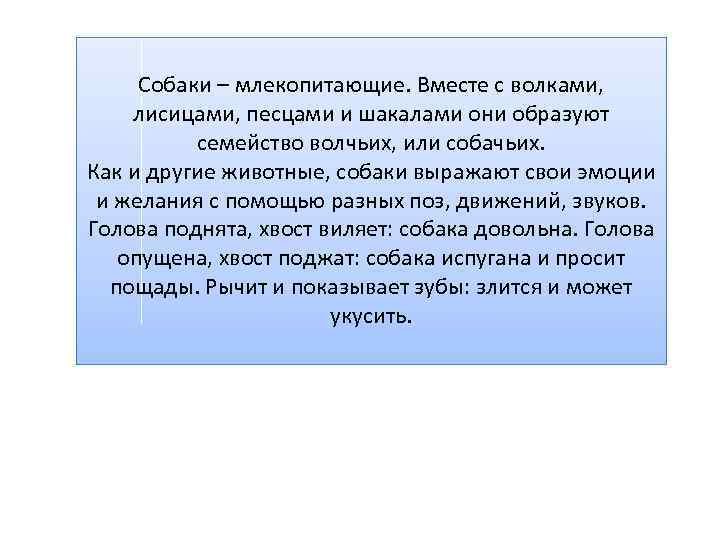 Собаки – млекопитающие. Вместе с волками, лисицами, песцами и шакалами они образуют семейство волчьих,