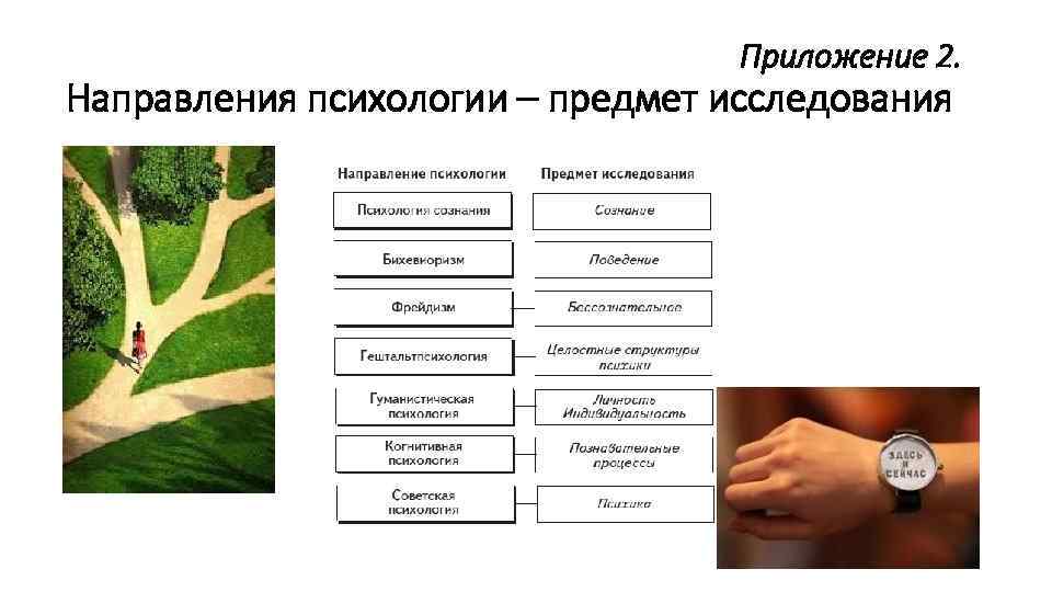 Приложение 2. Направления психологии – предмет исследования 