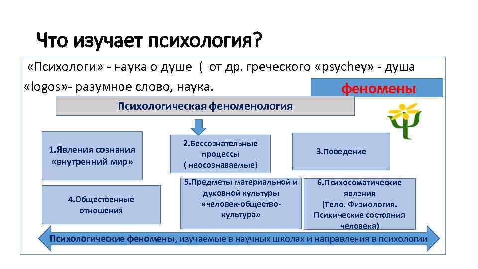 Что изучает психология? «Психологи» наука о душе ( от др. греческого «psycheу» душа «logos»