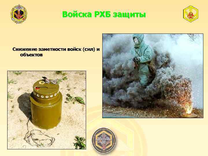 Войска РХБ защиты Снижение заметности войск (сил) и объектов 