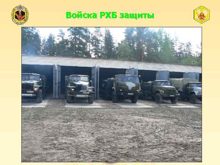 Войска РХБ защиты 