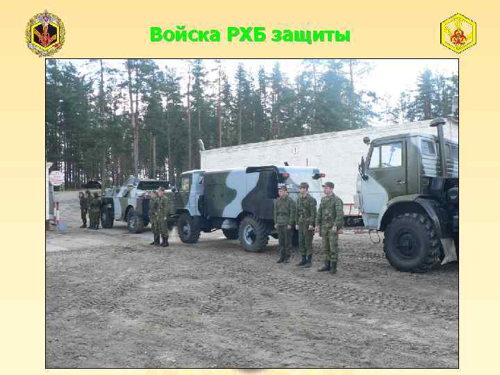 Войска РХБ защиты 