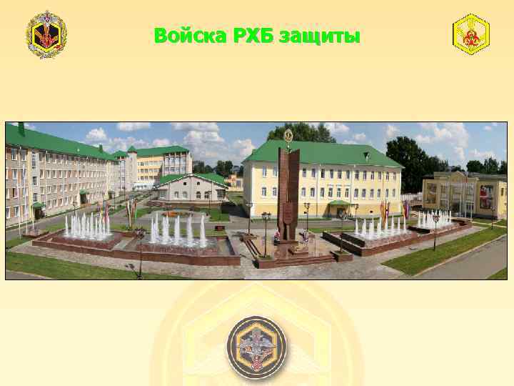 Войска РХБ защиты 