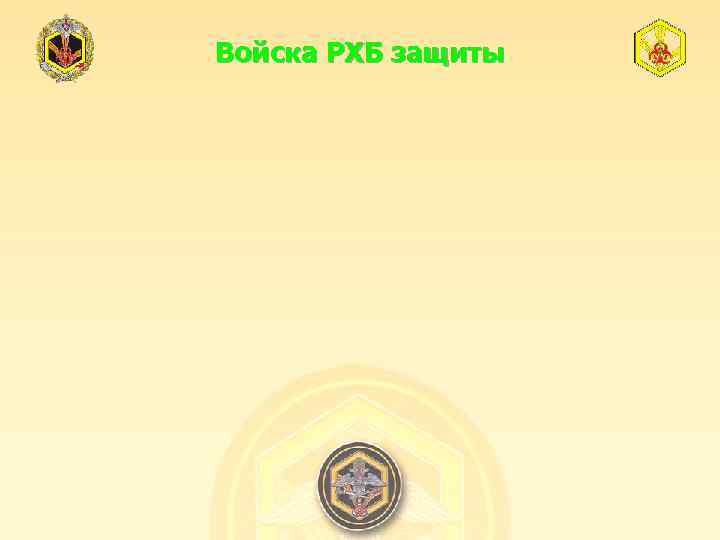Войска РХБ защиты 