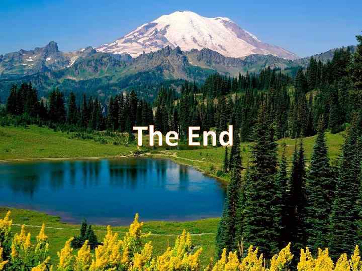 The End 