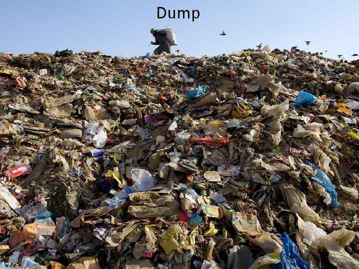 Dump 