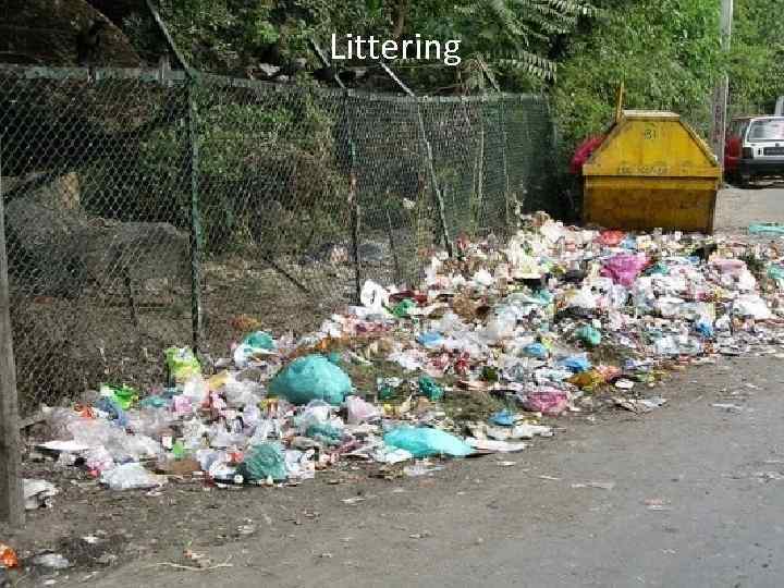 Littering 