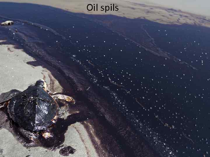Oil spils 