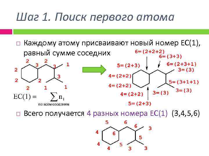 Шаг 1. Поиск первого атома Каждому атому присваивают новый номер ЕС(1), равный сумме соседних