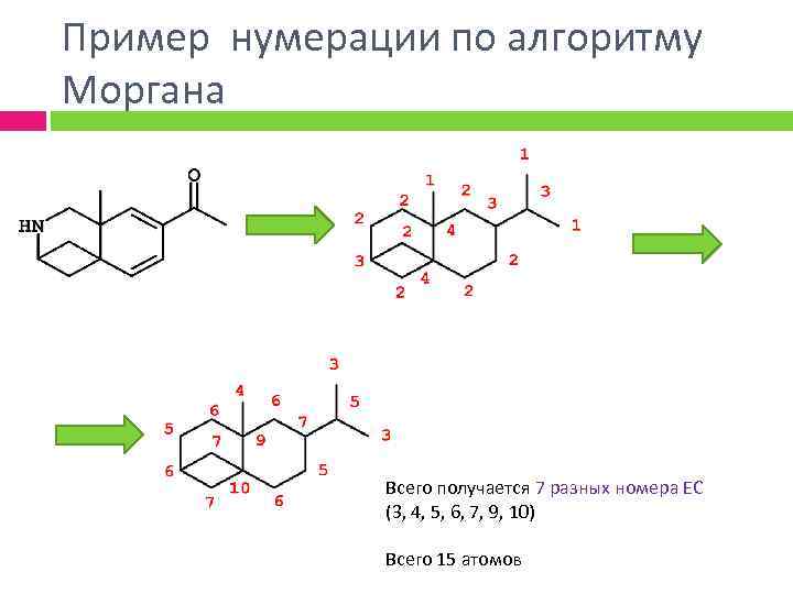 Пример нумерации по алгоритму Моргана Всего получается 7 разных номера ЕС (3, 4, 5,