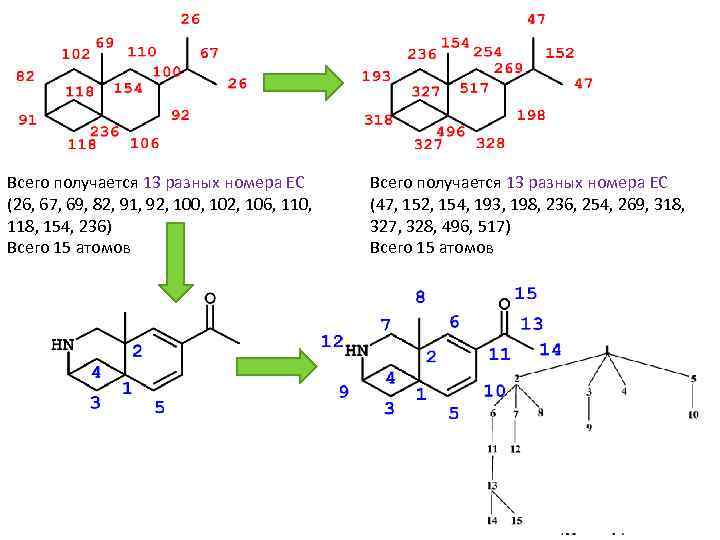 Всего получается 13 разных номера ЕС (26, 67, 69, 82, 91, 92, 100, 102,