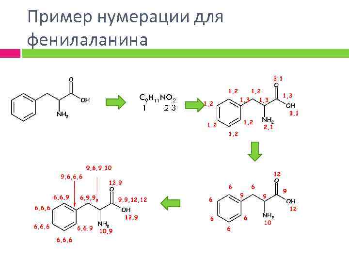 Пример нумерации для фенилаланина C 9 H 11 NO 2 1 23 