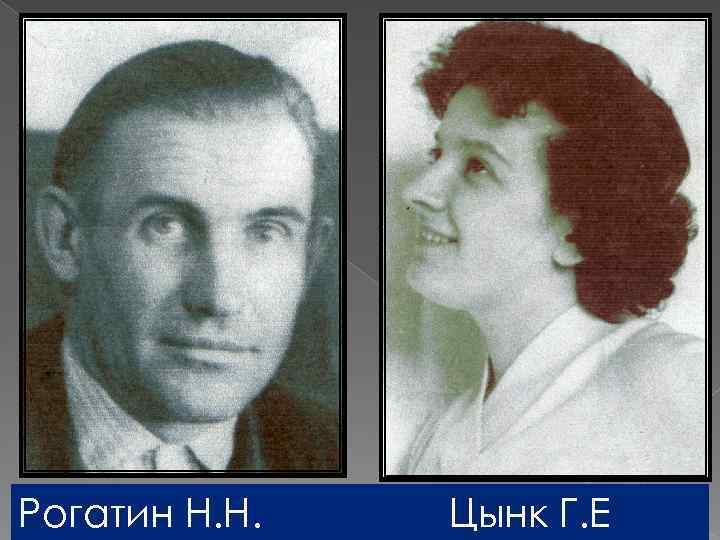 Рогатин Н. Н. Цынк Г. Е 