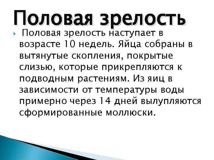 Половая зрелость наступает в возрасте 10 недель. Яйца собраны в вытянутые скопления, покрытые слизью,