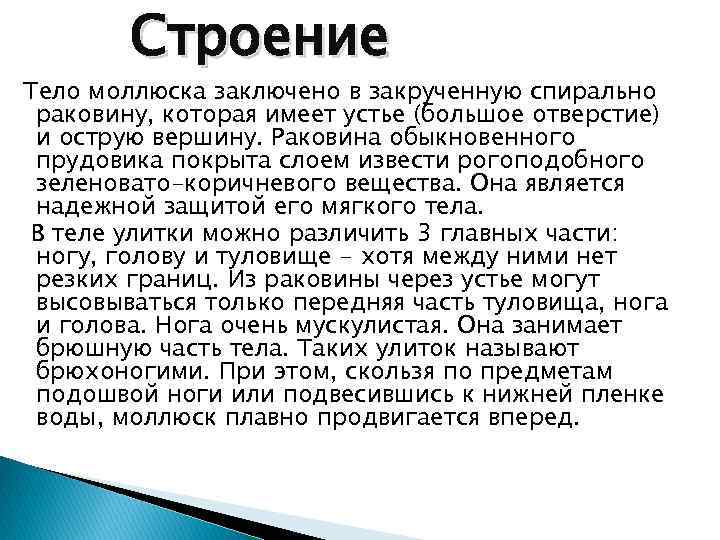 Строение Тело моллюска заключено в закрученную спирально раковину, которая имеет устье (большое отверстие) и