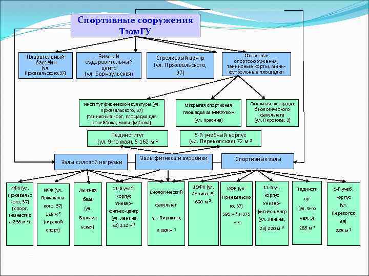Спортивные сооружения Тюм. ГУ Плавательный бассейн (ул. Пржевальского, 37) Зимний оздоровительный центр (ул. Барнаульская)