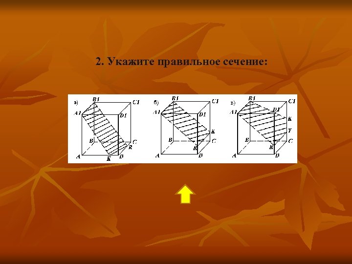 2. Укажите правильное сечение: 