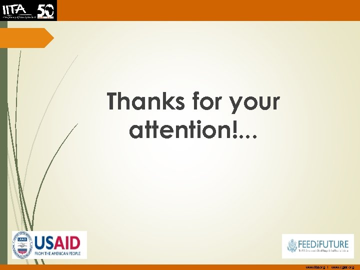 Thanks for your attention!. . . www. iita. org I www. cgiar. org 