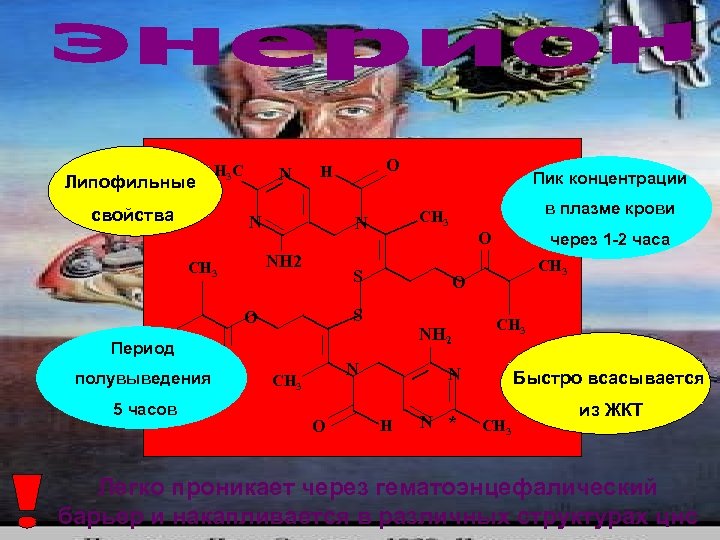 Липофильные H 3 C свойства N N H 3 C Период полувыведения 5 часов