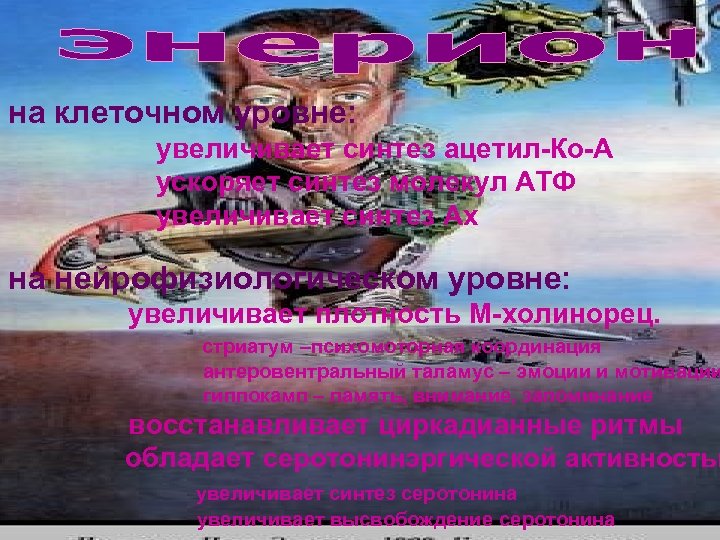 на клеточном уровне: увеличивает синтез ацетил-Ко-А ускоряет синтез молекул АТФ увеличивает синтез Ах на