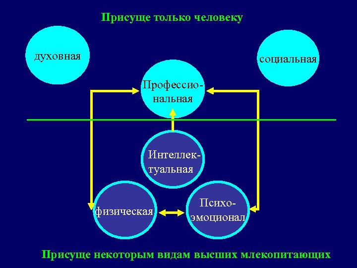 Присуще только человеку духовная социальная Профессиональная Интеллектуальная физическая Психоэмоционал Присуще некоторым видам высших млекопитающих