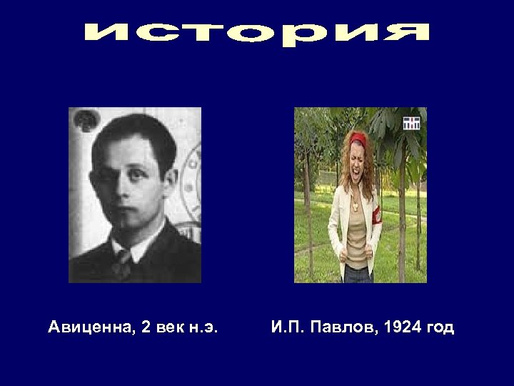 Авиценна, 2 век н. э. И. П. Павлов, 1924 год 