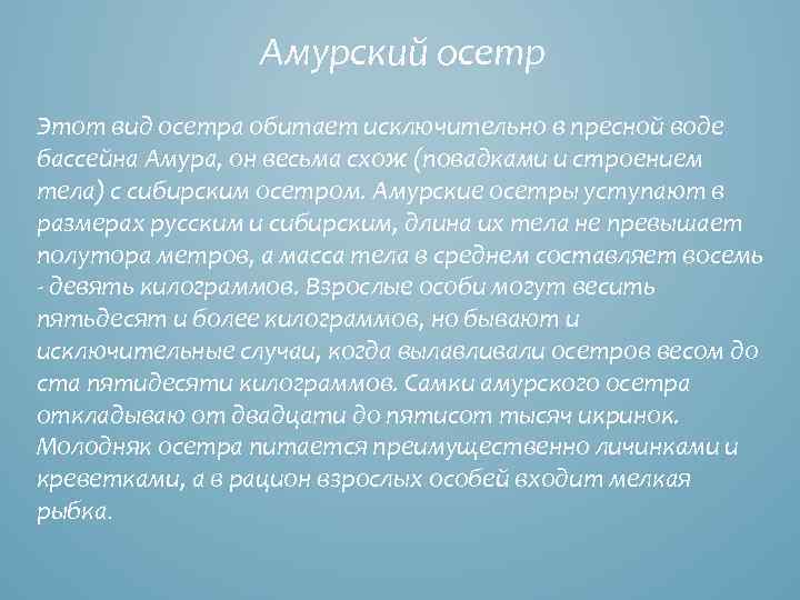 Амурский осетр Этот вид осетра обитает исключительно в пресной воде бассейна Амура, он весьма