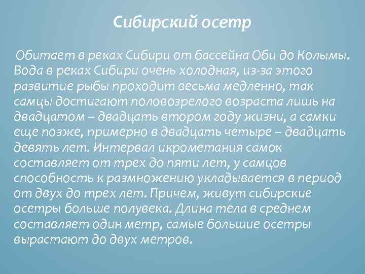 Сибирский осетр Обитает в реках Сибири от бассейна Оби до Колымы. Вода в реках