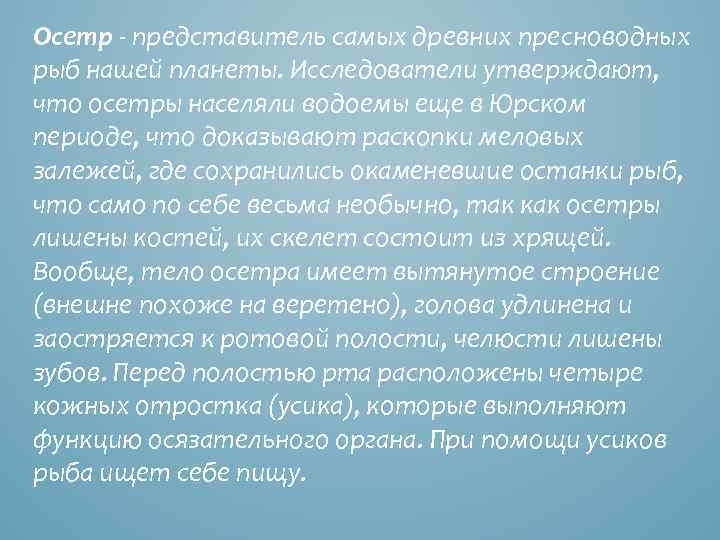 Осетр - представитель самых древних пресноводных рыб нашей планеты. Исследователи утверждают, что осетры населяли