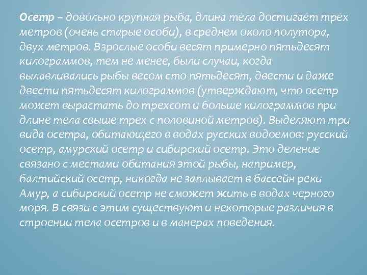 Осетр – довольно крупная рыба, длина тела достигает трех метров (очень старые особи), в