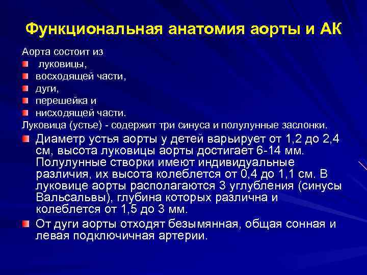 Функциональная анатомия аорты и АК Аорта состоит из луковицы, восходящей части, дуги, перешейка и