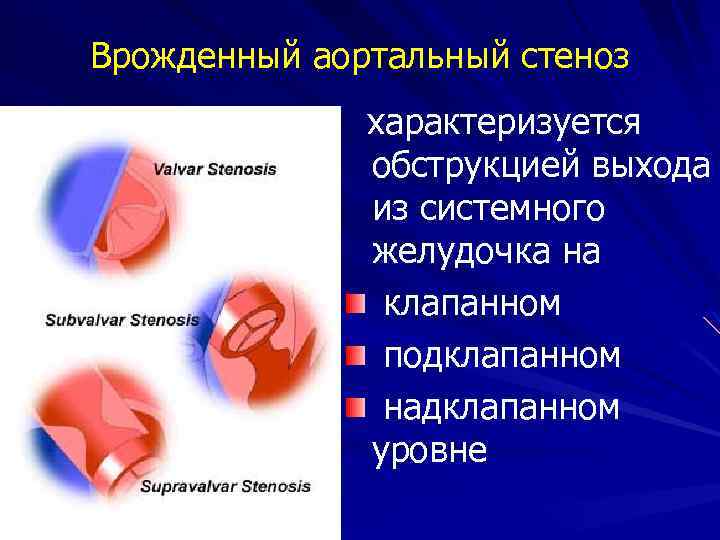 Аортальный клапан нормальные показатели